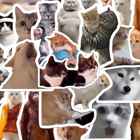 Sticker meme mèo chống nước, decal mèo ngộ nghĩnh dán laptop, điện thoại, vali, trang trí quạt