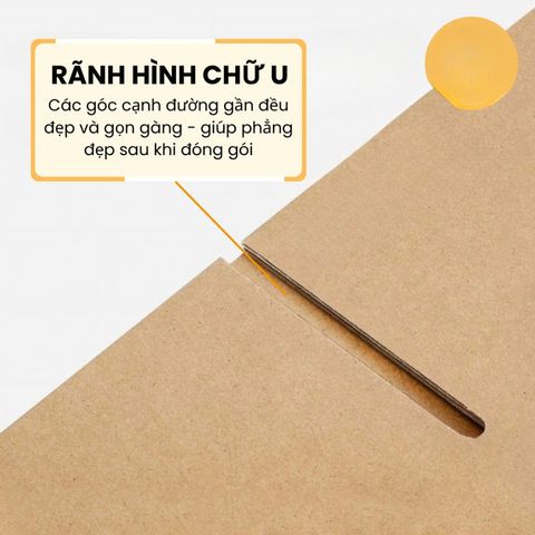 [Hộp chống sốc] combo 20 Cái