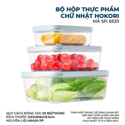 Bộ 3 Hộp Nhựa Đựng Thực Phẩm Chữ Nhật Hokori 6533 Cao Cấp - Hộp Bảo Quản Thức Ăn Trong Suốt Kháng Khuẩn Tiện Lợi