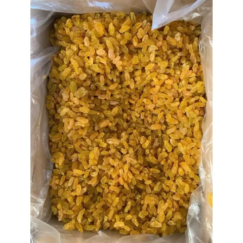 Nho Vàng Khô Ấn Độ - Siêu Ngon, Gói 500g, Dinh Dưỡng Cho Cả Gia Đình