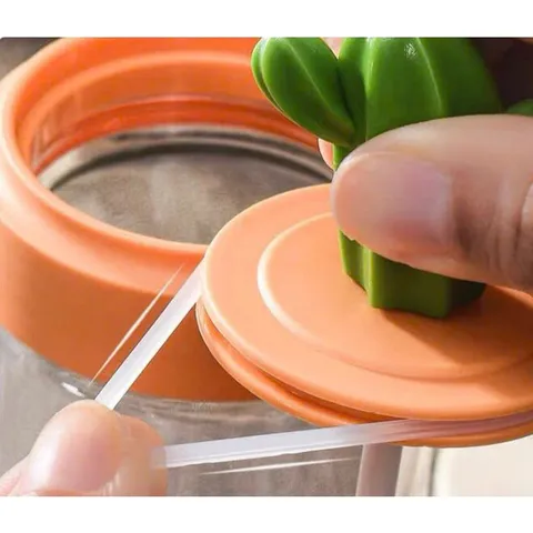 Hũ Đựng Gia Vị Thủy Thủy Tinh Hình Xương Rồng Kèm Thìa, Bộ 4 Lọ Đựng Gia Vị Có Khay Cầm Tiện Lợi Decor Nhà Bếp