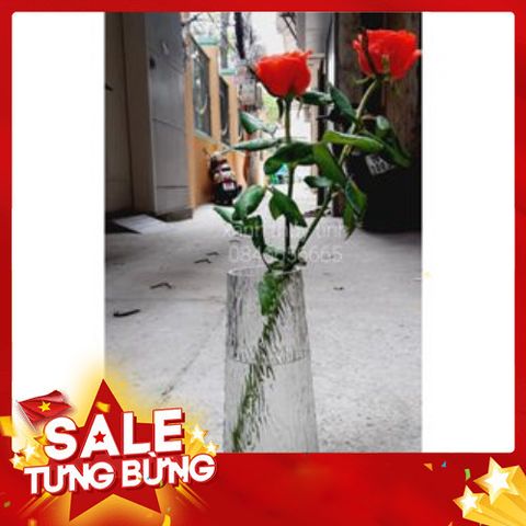 Lọ hoa thủy tinh viền vàng Bình hoa thủy tinh dáng trụ vát cao 21,5 cm decor trang trí
