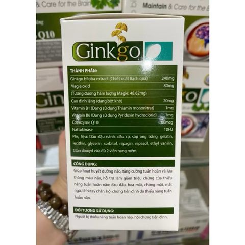 Ginkgo biloba, q10, cao đinh lăng giúp tăng lưu thông máu não, bổ não, cải thiện đau đầu, chóng mặt. H100v