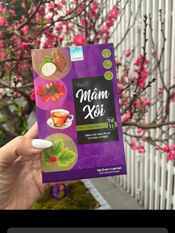 combo 2 hộp trà mâm xôi tứ vị nhà mộc tâm 
