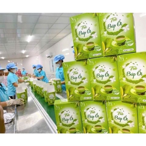 combo 3 hộp trà búp ổi nhà mộc tâm 