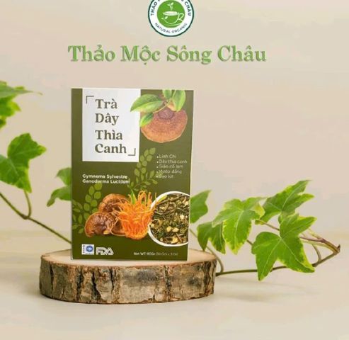 trà dây thìa canh nhà mộc tâm 