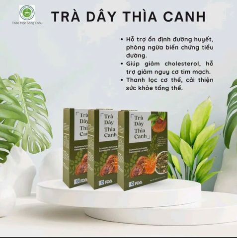 combo 2 hộp trà dây thìa canh nhà mộc tâm 