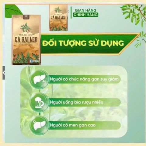 trà cà gai leo nhà mộc tâm 