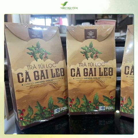 combo 4 hộp trà cà gai leo nhà mộc tâm 