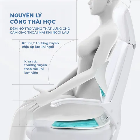 [BIG SIZE] Ghế Điều Chỉnh Tư Thế Ngồi Cho Người 100KG, Mẹ Bầu, Dân Văn Phòng Chống Đau Lưng Cột Sống
