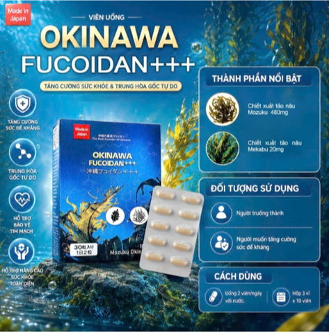 Viên uống hỗ trợ tăng cường sức đề kháng và trung hòa các gốc tự do Okinawa Fucoidan +++ Jpanwell (30 viên)