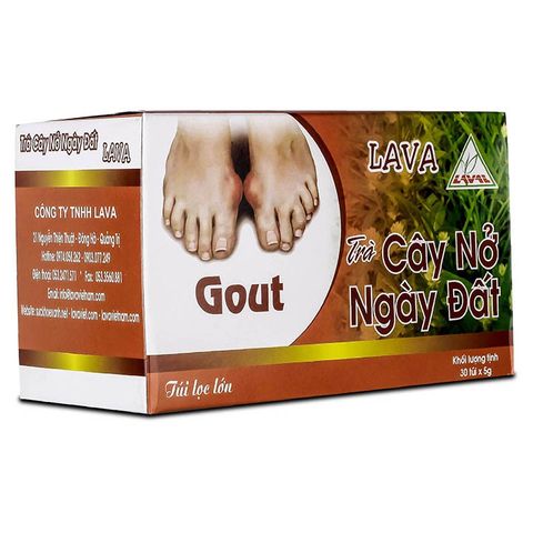 Trà Nở Ngày Đất (hộp 30 túi lọc)– Gút, Acid Uric Cao