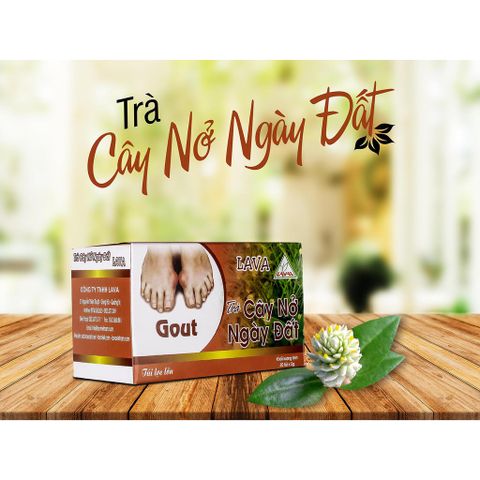 Trà Nở Ngày Đất (hộp 30 túi lọc)– Gút, Acid Uric Cao