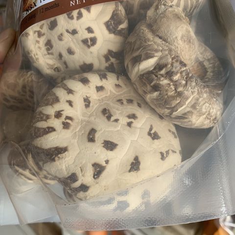 Nấm Đông Cô Nhật 500g