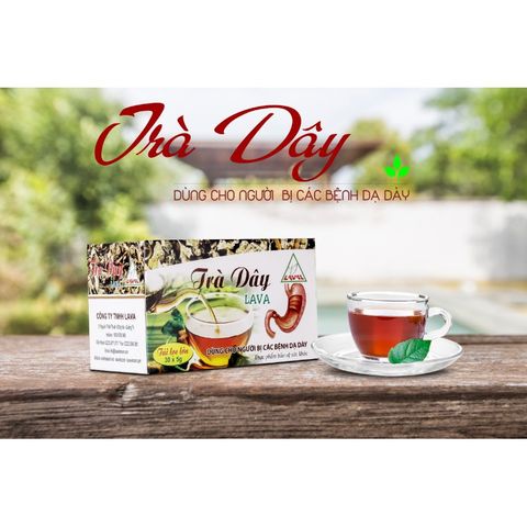 Trà Dây Lava-DẠ DÀY,MÁT GAN- (hộp 30 túi lọc)