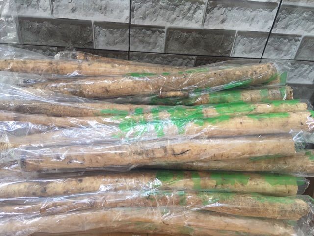 Củ Ngưu Báng Tươi Nhật 1 kg