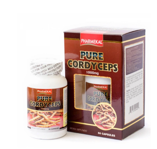 Viên uống Đông trùng hạ thảo giúp tăng cường sức đề kháng Pure Cordyceps Pharmekal (60 viên)