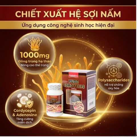 Viên uống Đông trùng hạ thảo giúp tăng cường sức đề kháng Pure Cordyceps Pharmekal (60 viên)