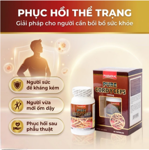 Viên uống Đông trùng hạ thảo giúp tăng cường sức đề kháng Pure Cordyceps Pharmekal (60 viên)