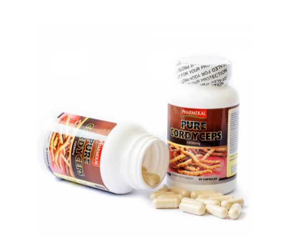 Viên uống Đông trùng hạ thảo giúp tăng cường sức đề kháng Pure Cordyceps Pharmekal (60 viên)