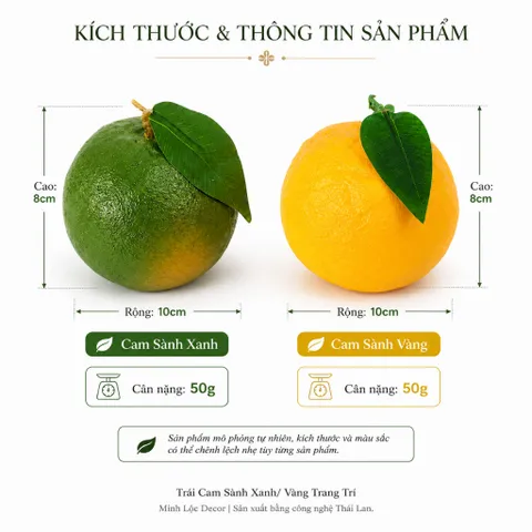 Trái Cam Sành Xanh/ Vàng trang trí Cao cấp | Trái Cây Nhựa foam, Trái Cây trang trí, Trái Cây Mô Hình