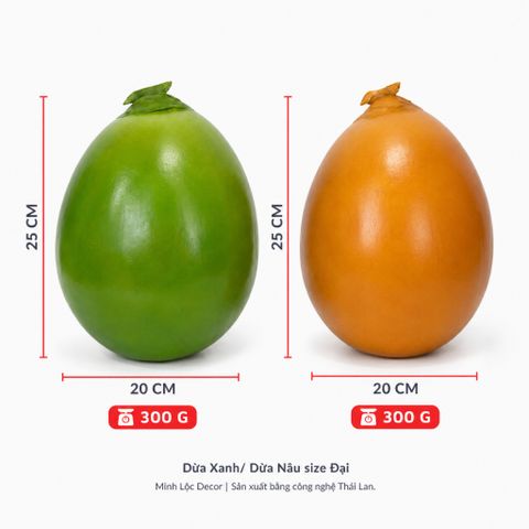 Trái Dừa Xanh/ Nâu size Đại | Trái Cây Nhựa foam, Trái Cây trang trí, Trái Cây Mô Hình