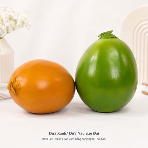 Trái Dừa Xanh/ Nâu size Đại | Trái Cây Nhựa foam, Trái Cây trang trí, Trái Cây Mô Hình