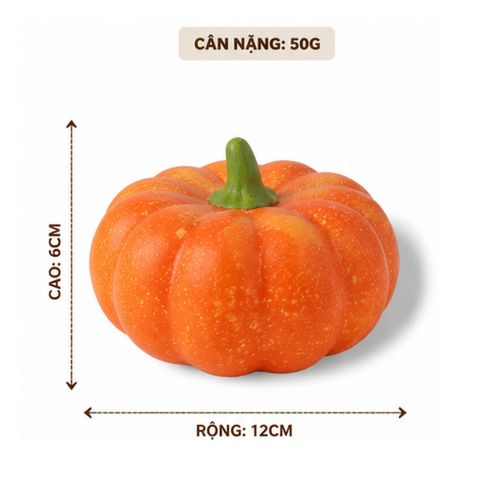 Trái Bí Đỏ trang trí | Trái Cây Nhựa foam, Trái Cây trang trí, Trái Cây Mô Hình