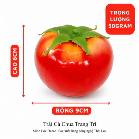 Trái Cà Chua trang trí Cao cấp | Trái Cây Nhựa foam, Trái Cây trang trí, Trái Cây Mô Hình