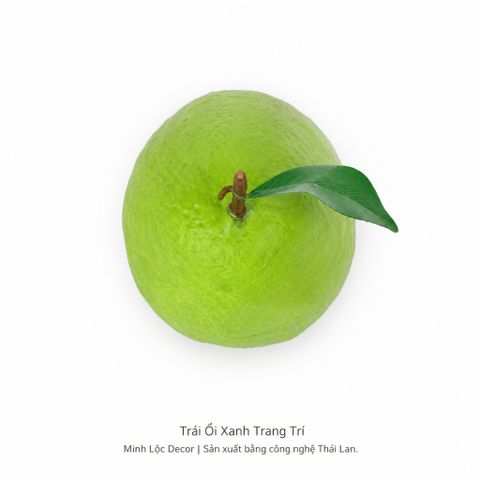 Trái Ổi Xanh trang trí | Trái Cây Nhựa foam, Trái Cây trang trí, Trái Cây Mô Hình