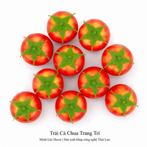 Trái Cà Chua trang trí Cao cấp | Trái Cây Nhựa foam, Trái Cây trang trí, Trái Cây Mô Hình