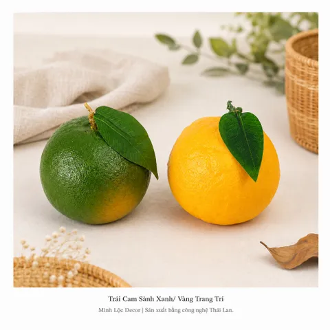Trái Cam Sành Xanh/ Vàng trang trí Cao cấp | Trái Cây Nhựa foam, Trái Cây trang trí, Trái Cây Mô Hình