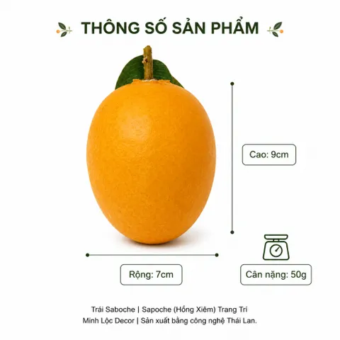 Trái Saboche | Sapoche (Hồng Xiêm) | Trái Cây Nhựa foam, Trái Cây trang trí, Trái Cây Mô Hình