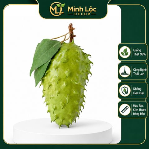 Trái Mãng Cầu Gai Dài trang trí Cao Cấp | Trái Cây Nhựa foam, Trái Cây trang trí, Trái Cây Mô Hình