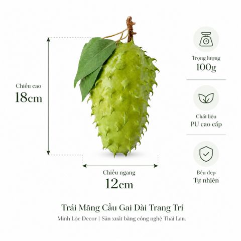 Trái Mãng Cầu Gai Dài trang trí Cao Cấp | Trái Cây Nhựa foam, Trái Cây trang trí, Trái Cây Mô Hình