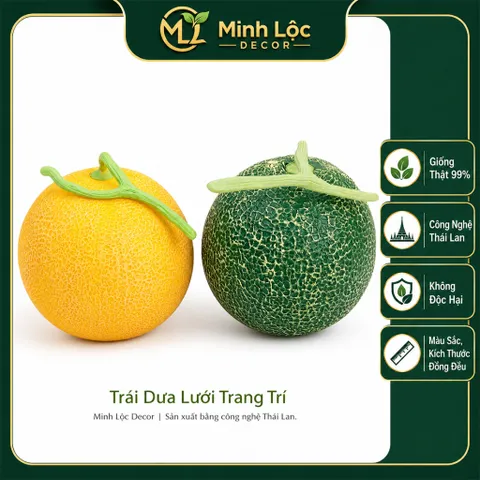 Trái Dưa Lưới trang trí Xanh/ Vàng Trang Trí Cao Cấp | Trái Cây Nhựa foam, Trái Cây trang trí, Trái Cây Mô Hình