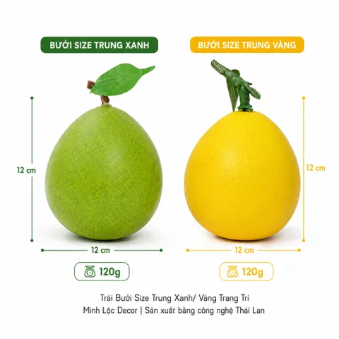 Trái Bưởi Xanh/ Vàng (Size Nhỏ, Trung, Đại) trang trí Cao cấp | Trái Cây Nhựa foam, Trái Cây trang trí, Trái Cây Mô Hình