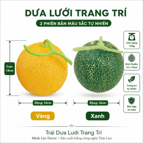 Trái Dưa Lưới trang trí Xanh/ Vàng Trang Trí Cao Cấp | Trái Cây Nhựa foam, Trái Cây trang trí, Trái Cây Mô Hình