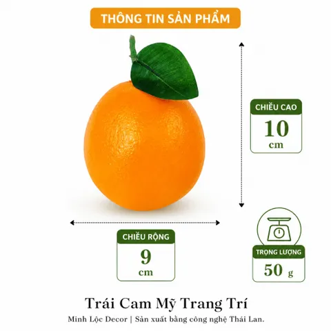 Trái Cam Mỹ trang trí | Trái Cây Nhựa foam, Trái Cây trang trí, Trái Cây Mô Hình