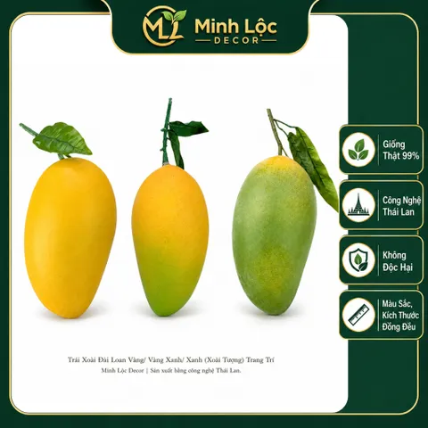 Trái Xoài Đài Loan Vàng / Vàng Xanh/ Xanh (Xoài Tượng) | Trái Cây Nhựa foam, Trái Cây trang trí, Trái Cây Mô Hình
