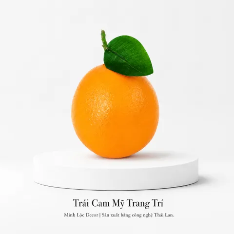 Trái Cam Mỹ trang trí | Trái Cây Nhựa foam, Trái Cây trang trí, Trái Cây Mô Hình