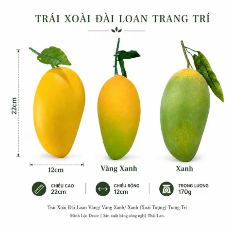 Trái Xoài Đài Loan Vàng / Vàng Xanh/ Xanh (Xoài Tượng) | Trái Cây Nhựa foam, Trái Cây trang trí, Trái Cây Mô Hình