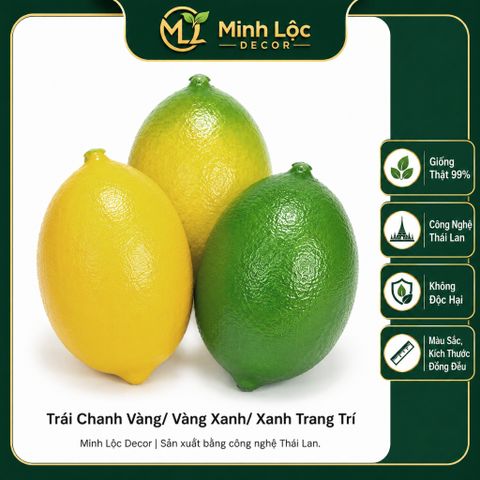 Trái Chanh Vàng/ Vàng Xanh/ Xanh trai trí | Trái Cây Nhựa foam, Trái Cây trang trí, Trái Cây Mô Hình