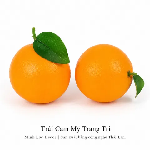 Trái Cam Mỹ trang trí | Trái Cây Nhựa foam, Trái Cây trang trí, Trái Cây Mô Hình