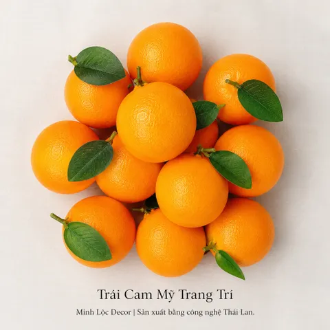 Trái Cam Mỹ trang trí | Trái Cây Nhựa foam, Trái Cây trang trí, Trái Cây Mô Hình