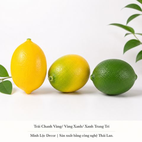 Trái Chanh Vàng/ Vàng Xanh/ Xanh trai trí | Trái Cây Nhựa foam, Trái Cây trang trí, Trái Cây Mô Hình