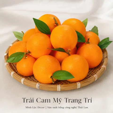 Trái Cam Mỹ trang trí | Trái Cây Nhựa foam, Trái Cây trang trí, Trái Cây Mô Hình