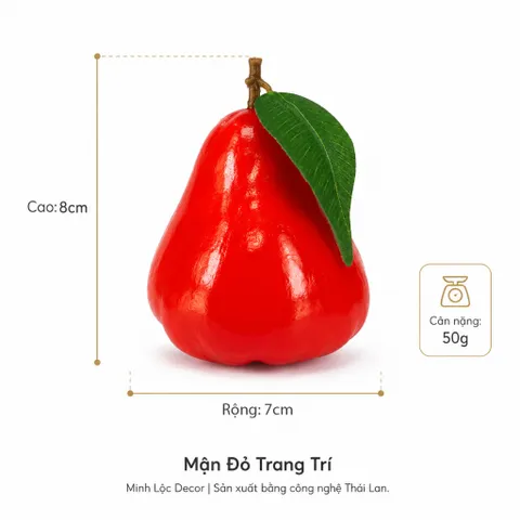 Trái Mận Đỏ trang trí | Trái Cây Nhựa foam, Trái Cây trang trí, Trái Cây Mô Hình