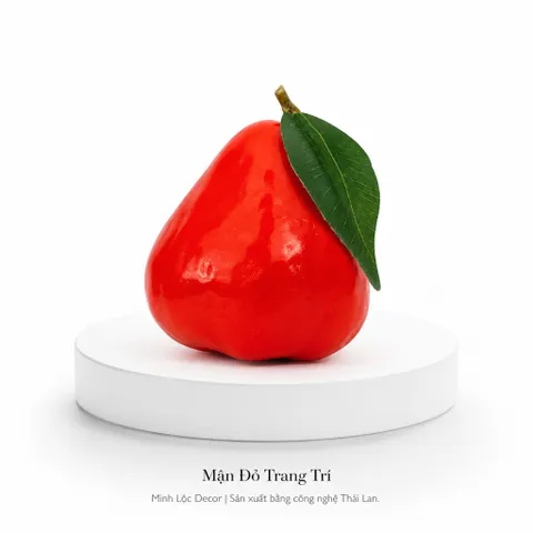Trái Mận Đỏ trang trí | Trái Cây Nhựa foam, Trái Cây trang trí, Trái Cây Mô Hình