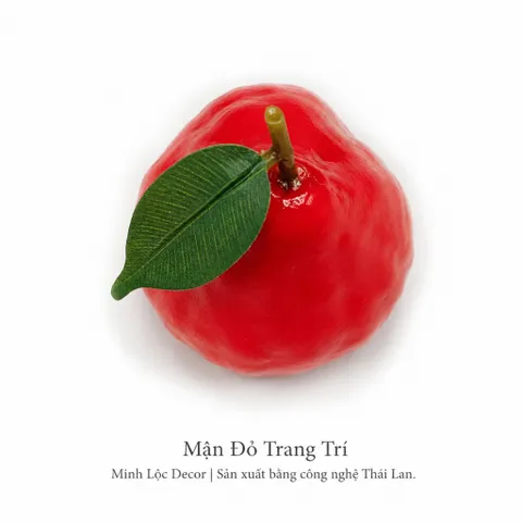 Trái Mận Đỏ trang trí | Trái Cây Nhựa foam, Trái Cây trang trí, Trái Cây Mô Hình